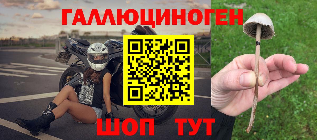 Галлюциногенные грибы Cubensis Калининград