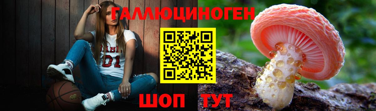 Псилоцибиновые грибы Magic Shrooms  Галлюциногенные грибы Magic Shrooms  Вход с VPN  Калининград 